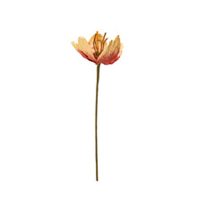 Load image into Gallery viewer, Wikholme - Tulip Flower
