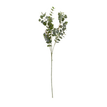 Load image into Gallery viewer, Wikholme - Eucalyptus
