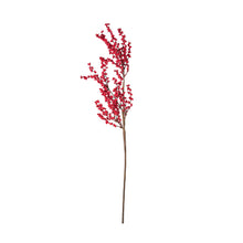 Load image into Gallery viewer, Wikholme - Red Berry Twigs
